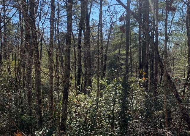 Property at Lot 9 Oak Laurel Rd, Brevard, NC 28712