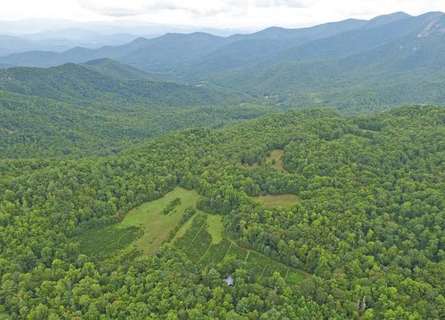 Property at 1575 Lloyd Cove Road Rd, Scaly Mountain, NC 28775