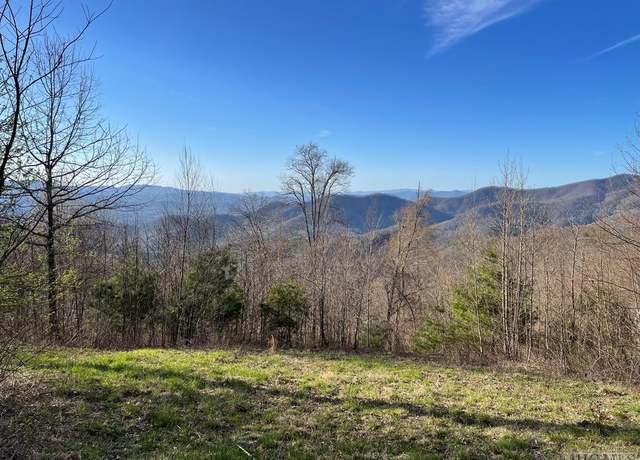 Property at 99999 Buck Knob Rd, Scaly Mountain, NC 28775