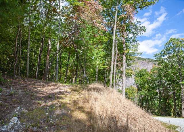 Property at Lot 156 Lonesome Valley Rd, Sapphire, NC 28774