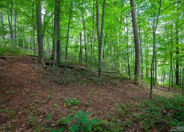 Property at Lot 120 Lonesome Valley Rd, Sapphire, NC 28774