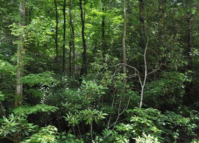 Property at N36B Old Still Rd, Cashiers, NC 28717