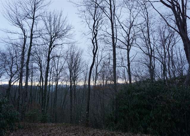 Property at 0 Tanner Loop, Highlands, NC 28741