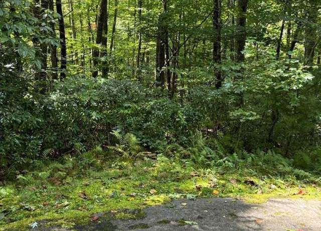 Property at Lot 18 Sourwood Ct, Sapphire, NC 28717