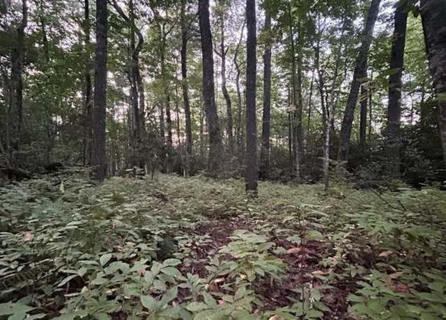 Property at Lot 30 Lupton Rd, Sapphire, NC 28774