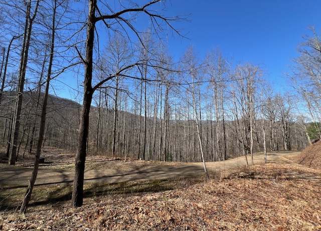 Property at 42 Witch Hazel Dr, Franklin, NC 28734