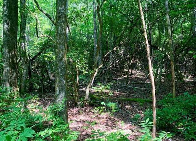 Property at TBD Double Creek Dr, Brevard, NC 28712