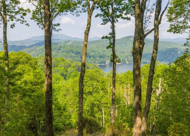 Property at Lot 1 Receptive Dr Dr, Glenville, NC 28736