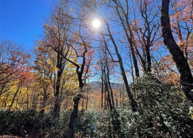 Property at Lot 10 Shirley Pressley Rd, Glenville, NC 28736