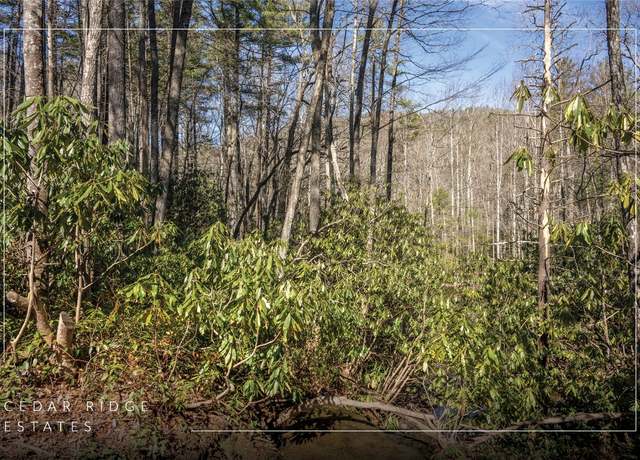 Property at 60 Wandering Rdg, Cashiers, NC 28723