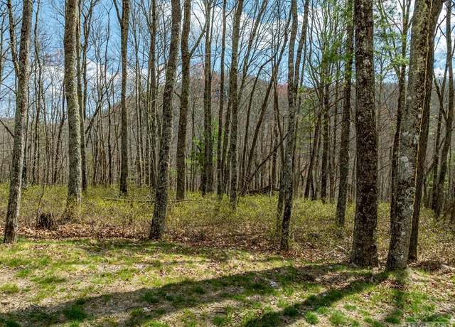 Property at C35 Roaming Rd, Glenville, NC 28736