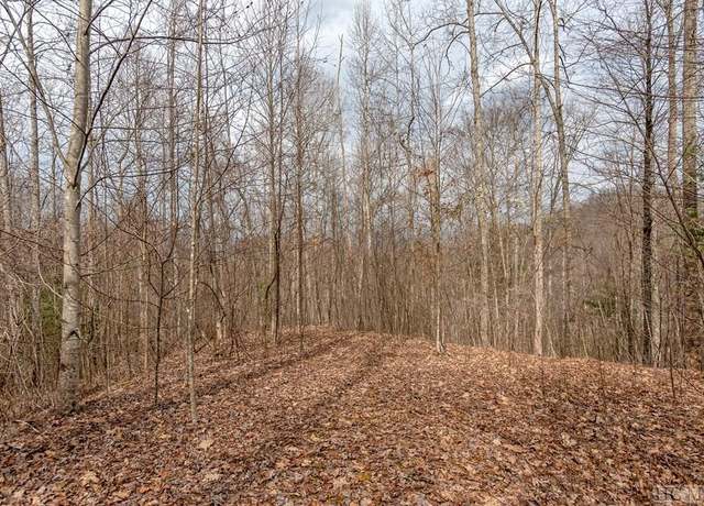 Property at Lot 62 Pilot Knob Rd, Glenville, NC 28736