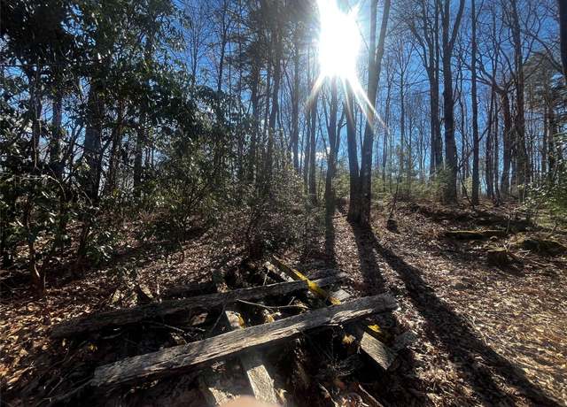 Property at 84 Black Oak Dr, Sapphire, NC 28774