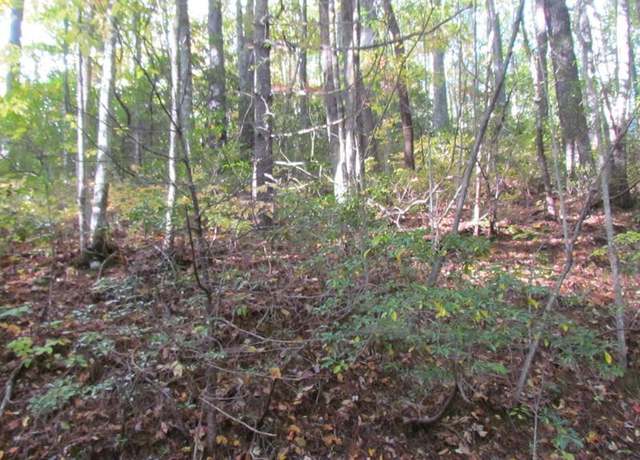 Property at Lot #113 West Christy Trl, Sapphire, NC 28774