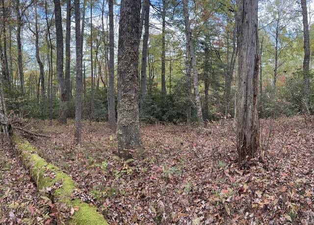 Property at lot 55 Lupton Rd, Sapphire, NC 28774