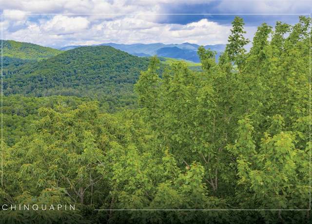 Property at C45 Roaming Rd, Glenville, NC 28736