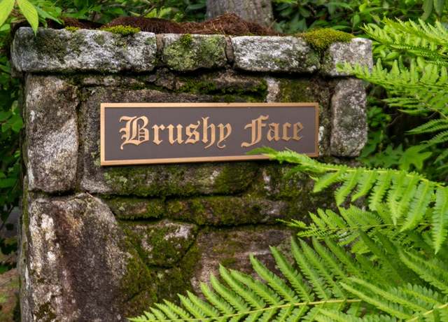 Property at TBD Brushy Face Rd, Highlands, NC 28741