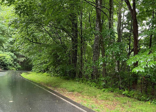 Property at Lot 40 Narrows Rd, Sapphire, NC 28774