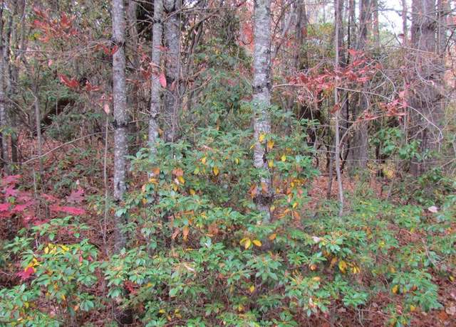 Property at Lot #74 Big Pine Rd, Sapphire, NC 28774