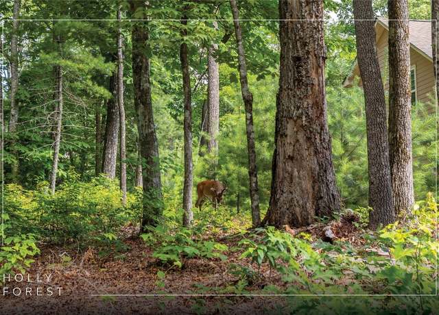 Property at Lot 4 Laurel Dr, Sapphire, NC 28774