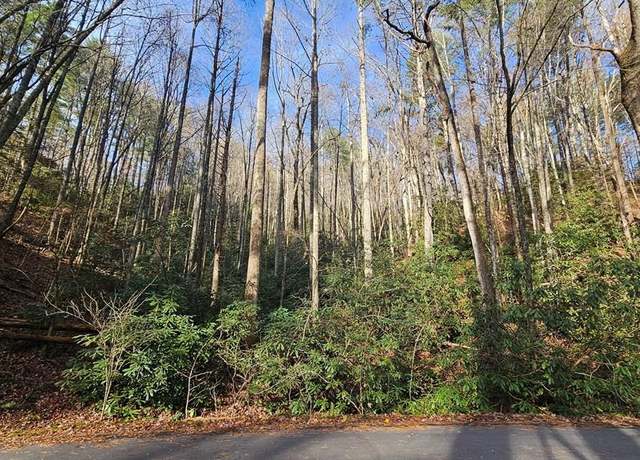 Property at Lot 63 W Christy Trl, Sapphire, NC 28774