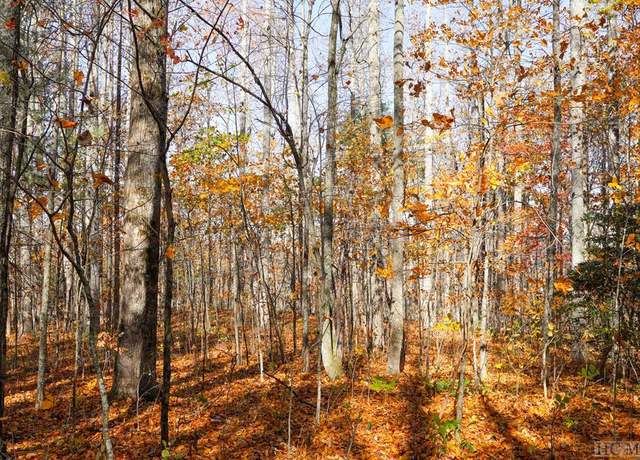 Property at na Silly Ridge Rd, Scaly Mountain, NC 28775