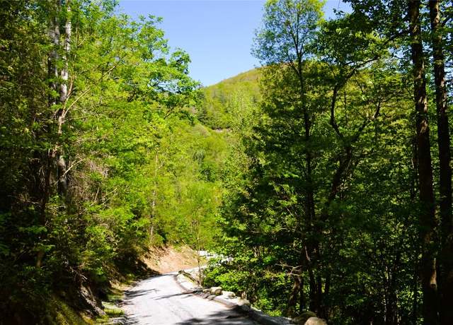Property at Lot 19 Speckled Feather Pass, Sapphire, NC 28774