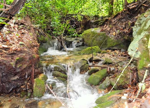 Property at Lot H Speckled Feather Pass, Sapphire, NC 28774
