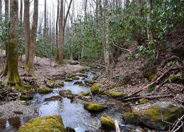 Property at Lot O Spikemoss Rd, Sapphire, NC 28774