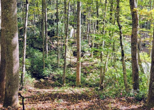 Property at Lot S Speckled Feather Pass, Sapphire, NC 28774