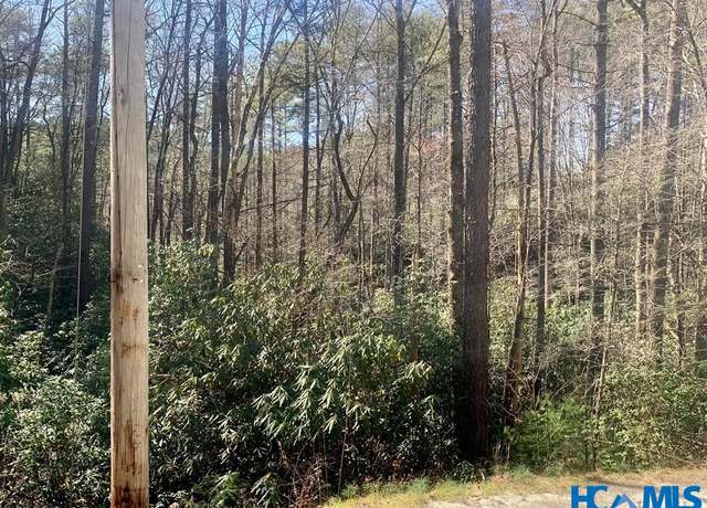 Property at 22 Double Creek Dr, Brevard, NC 28712