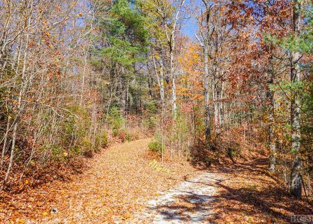Property at 00 Silly Ridge Rd, Scaly Mountain, NC 28775