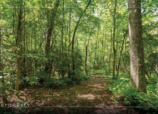 Property at Lot 14 Streamside Dr, Cashiers, NC 28717