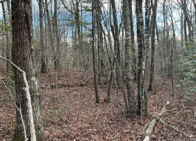 Property at W23 Fish Camp Trl, Glenville, NC 28736