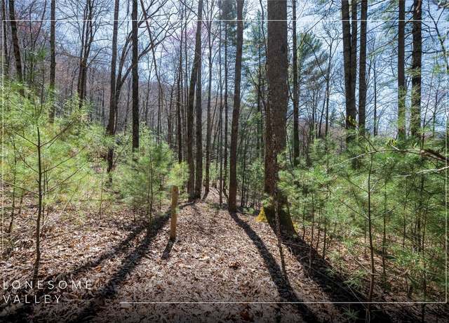 Property at Lot 13 Climbers Spur, Sapphire, NC 28774