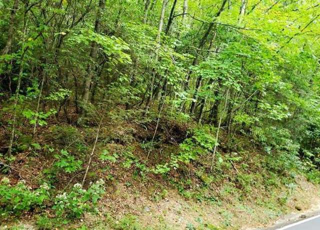 Property at Lot  83 West Christy Trl, Sapphire, NC 28774