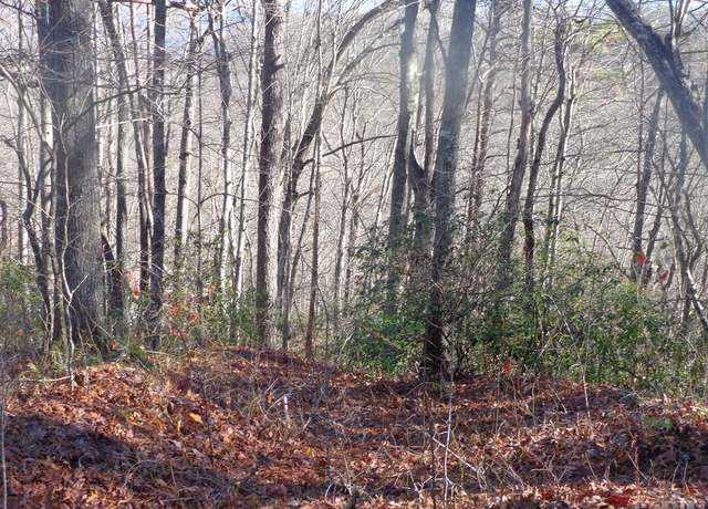 Property at Lot 20 Vail Pass Rd, Whittier, NC 28789
