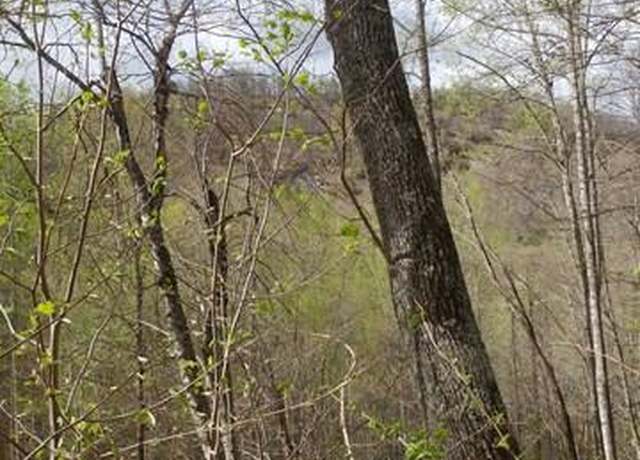 Property at 4567 4,5,6,7 Captiva Mountain Drive Cullowhee, NC 28723 Dr, Cullowhee, NC 28723