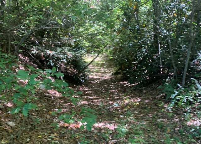 Property at Undisclosed address, Scaly Mountain, NC 28775