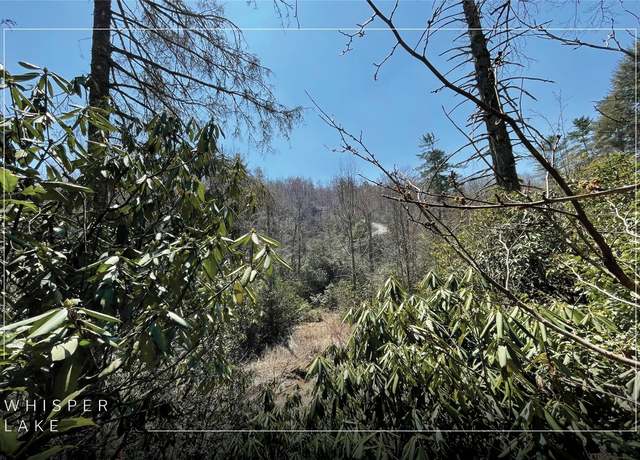 Property at Lt 269 Beaver Ct, Sapphire, NC 28774
