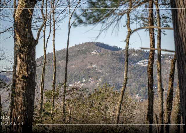Property at Lot 65 Buckberry Dr, Sapphire, NC 28774