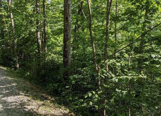 Property at Lot 24 Pilot Knob Rd, Glenville, NC 28736