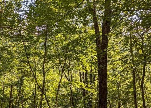 Property at Lot 24 Pilot Knob Rd, Glenville, NC 28736
