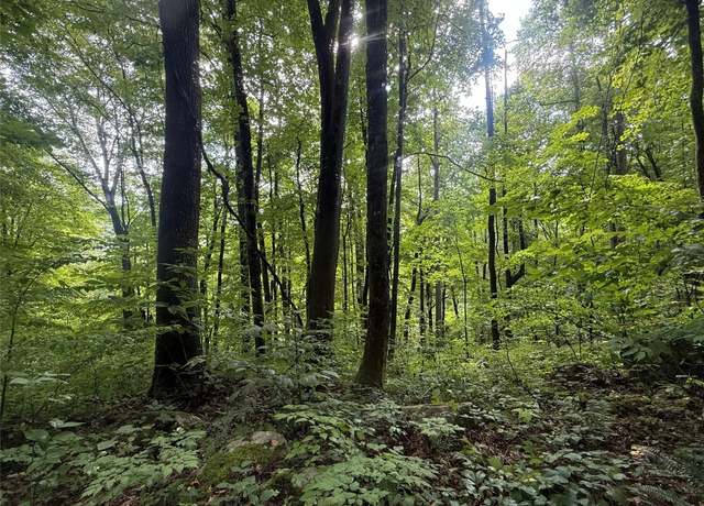 Property at 75 Rev Hatcher Falls Rd, Cullowhee, NC 28723