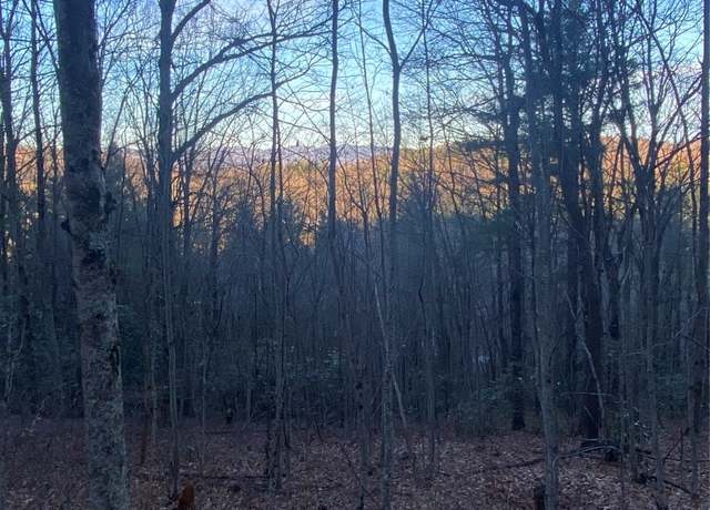 Property at TBD Strawberry Br, Scaly Mountain, NC 28775