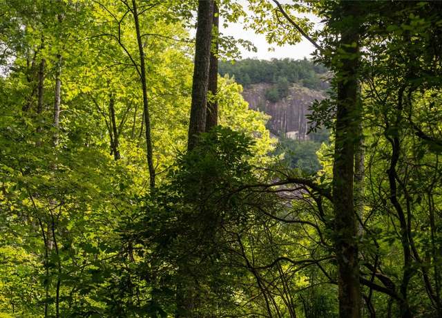 Property at 173 Lonesome Valley Rd, Sapphire, NC 28774
