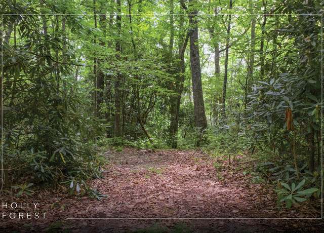 Property at Lot 82 Black Oak Dr, Sapphire, NC 28774