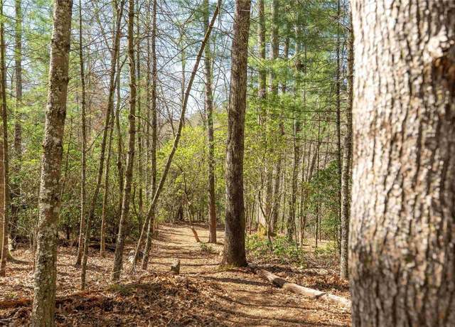 Property at 124 Taut Line Ln, Sapphire, NC 28774