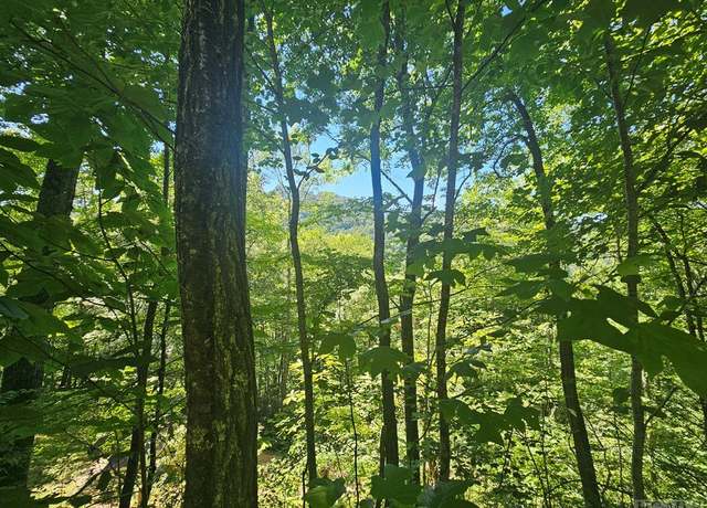 Property at 118 Granada Dr, Tuckasegee, NC 28783