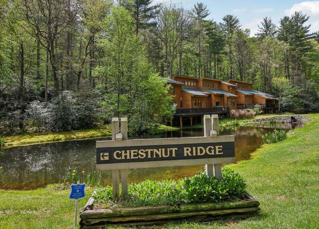 Property at 24 Chestnut Ridge Rd. Rd Unit 23D, Sapphire, NC 28774, 1 bed, 1.5 baths